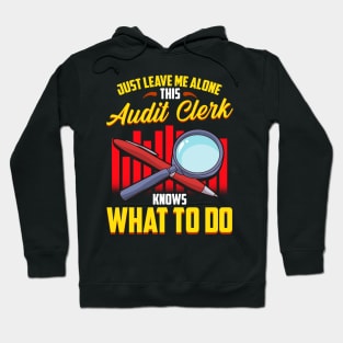 Funny Audit Clerk | Funny Auditor Gifts | Audit Accounting Hoodie